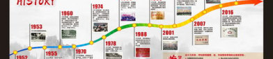 公司发展历程,公司发展历程的辉煌篇章